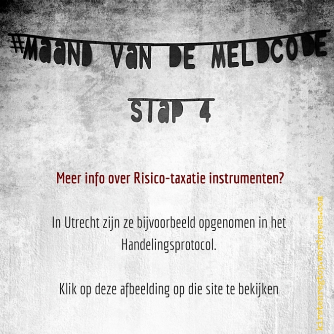 Meer info over Risico-taxatie instrumenten? In Utrecht zijn ze bijvoorbeeld opgenomen in het Handelingsprotocol.